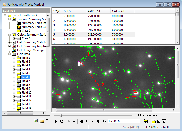 Motion Tracking Data Document